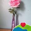 sandrathevenin - @sandrathevenin - TikTok