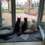 Sandra Thieme - @mimimoritzmax - Instagram