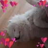 Sandra Thieme - @sandra.thieme - TikTok
