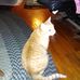Sandra Thornburgh - Facebook