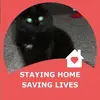 Sandy Threadgill - @sandy.threadgill - TikTok