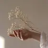 SandraTian - @sandratian2 - TikTok