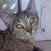 Sandra Tiede - Facebook