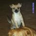 Sandra Tiller - Facebook