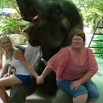 Sandra Tillett - Facebook