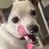 sandratillett429 - @sandratillett429 - TikTok