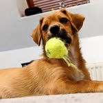 Sandra Tilly - @sama_070707_ - Instagram