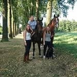 Sandra Timmermans - @sandra_timmermans_ - Instagram
