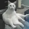 sandra togo - @sandra.togo8 - TikTok