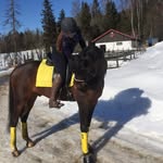 Sandra Tokstad Løvaas - @sandraatokstad - Instagram