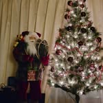 Sandra Toler - @lilredhen485 - Instagram