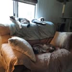 Sandra Toler - @sandra.toler.7370 - Instagram
