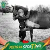 Sandra Tome - @sandratome3 - TikTok