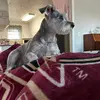 Sandra Toole - @sandra.toole - TikTok