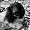 Sandra Topping - @sandra.topping4 - TikTok