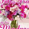Sandra Toribio - @sandratoribio05 - TikTok