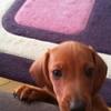 user5433931356126 - @sandra.toti - TikTok