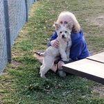 Sandra Lounsbury-Totten - @lounsburytotten - Instagram