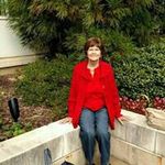 Sandra Towery - @sandratowery - Instagram