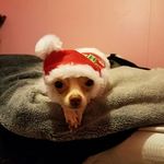 Sandra Towery - @towerysandra - Instagram