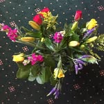 Sandra Towler - @sandra.towler - Instagram