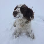 Sandra Towler - @sandratowler20 - Instagram