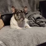 Sandra Tracey - @sandra.tracey.33 - Instagram
