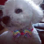 sandra - @sandratracey24 - Instagram