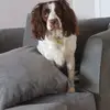 Sandra Stracey - @sandra.stracey - TikTok