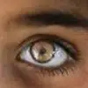 sandragesser6 - @sandra.gesser - TikTok