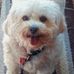 Sandra Trask - Facebook