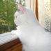 Sandra Trask-Starratt - Facebook