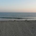 @sandratrawick14 - Instagram