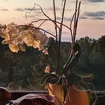 Sandra Traynor - @lubars2024 - Instagram