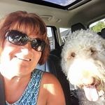 Sandra Tremblay - @tremblay6917 - Instagram