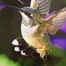 Sandy Trettel - Facebook