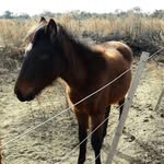 Sandra Trigo Helfman - @trigohelfman - Instagram