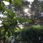 Sandra Trimble - @sandyglen78 - Instagram