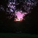 Sandra Trimble - @sjtrimble.st - Instagram