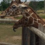 Sandra Trimble - @seesawdream - Instagram