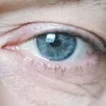Sandro Trimboli - @sandrotrimboli - Instagram