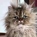 Sandy Triplett - Facebook
