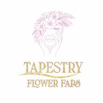 Sandra Tritt - @21tapestry - Instagram
