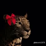 𝑺𝒂𝒏𝒅𝒓𝒂 𝑻𝒓𝒐𝒄𝒉𝒆𝒛 - @sandra_trochezb - Instagram