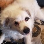 Sandra Trotter - @sandra.trotter.9026 - Instagram