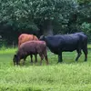 sandratrottier580 - @sandratrottier580 - TikTok