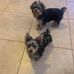 Sandra Troupe - Facebook