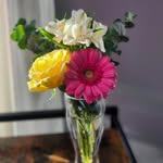 Sandra St-Jean Martin Trudel - @sandrastjeanmartintrudel - Instagram