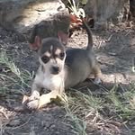 sandra trull - @trullsandra - Instagram