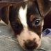 Sandra Tubb - Facebook